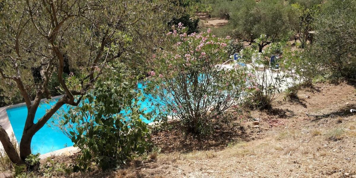 Villa Cigalons En Pleine Pinede Avec Piscine Chauffee De Mai A Septembre Auriol Kültér fotó