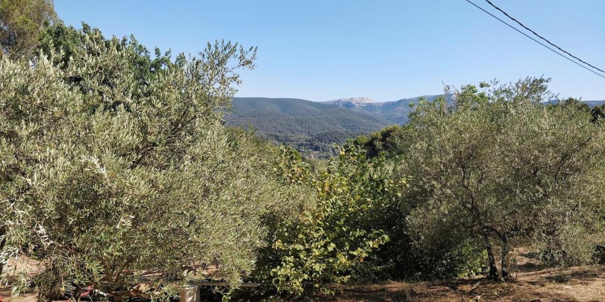 Villa Cigalons En Pleine Pinede Avec Piscine Chauffee De Mai A Septembre Auriol Kültér fotó