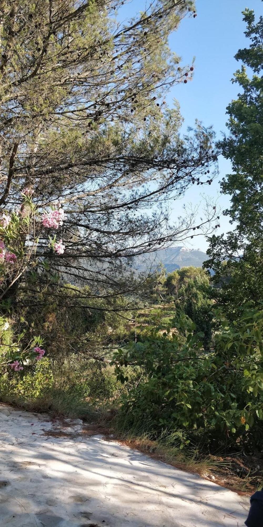 Villa Cigalons En Pleine Pinede Avec Piscine Chauffee De Mai A Septembre Auriol Kültér fotó