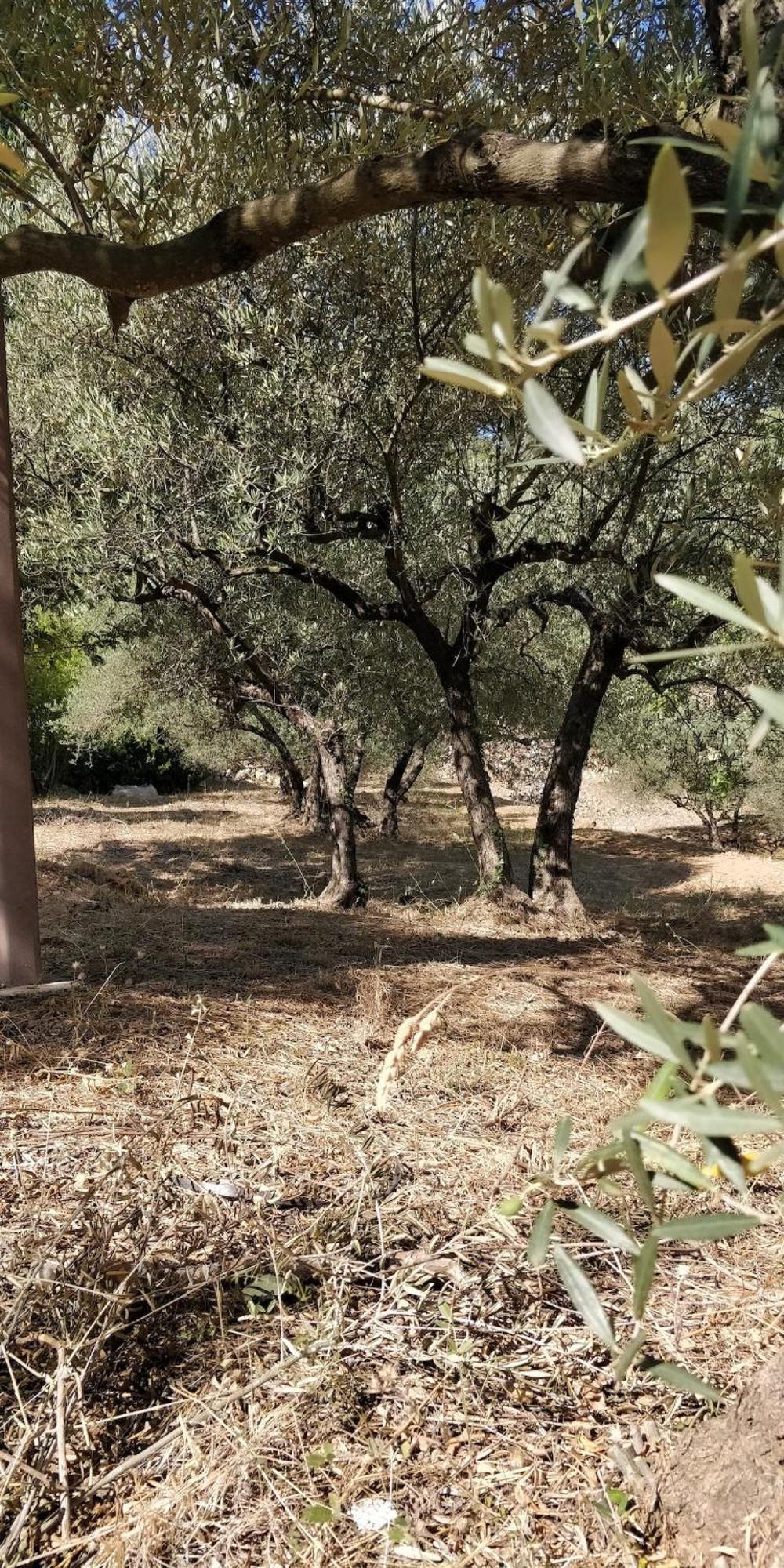Villa Cigalons En Pleine Pinede Avec Piscine Chauffee De Mai A Septembre Auriol Kültér fotó