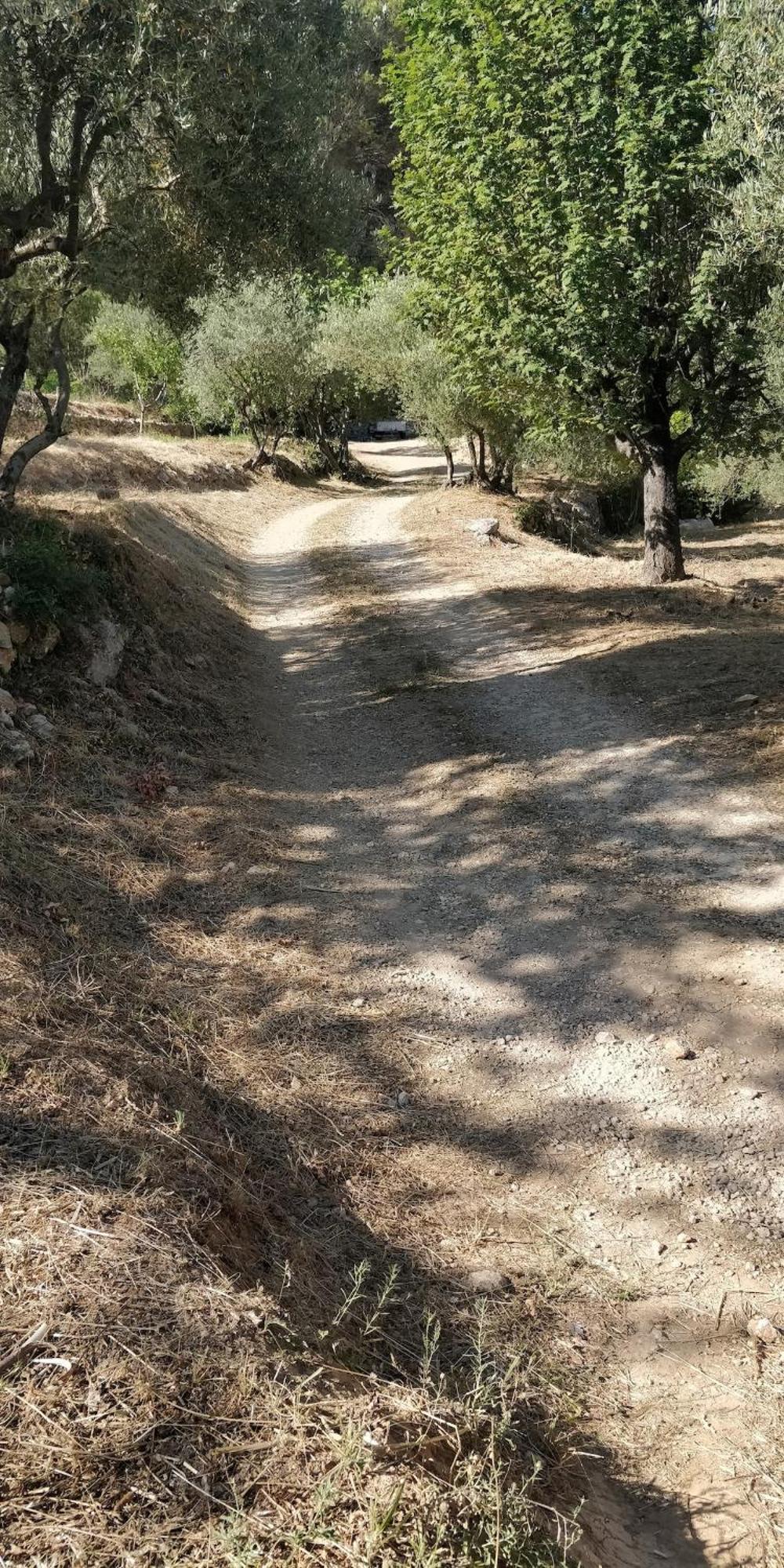 Villa Cigalons En Pleine Pinede Avec Piscine Chauffee De Mai A Septembre Auriol Kültér fotó
